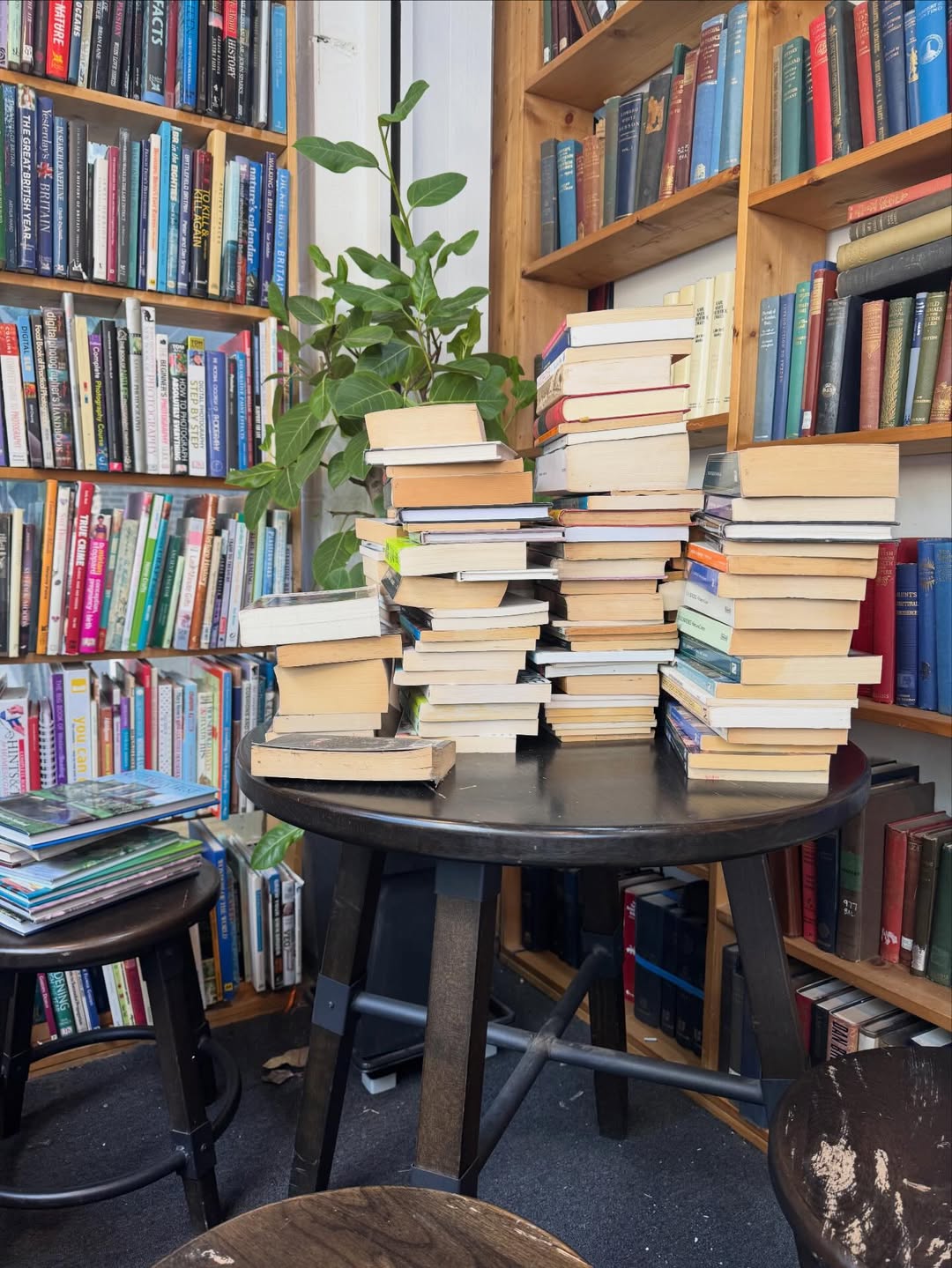 에디터 PICK! 언어 공부를 한다면 가보기 좋은 공간 4곳