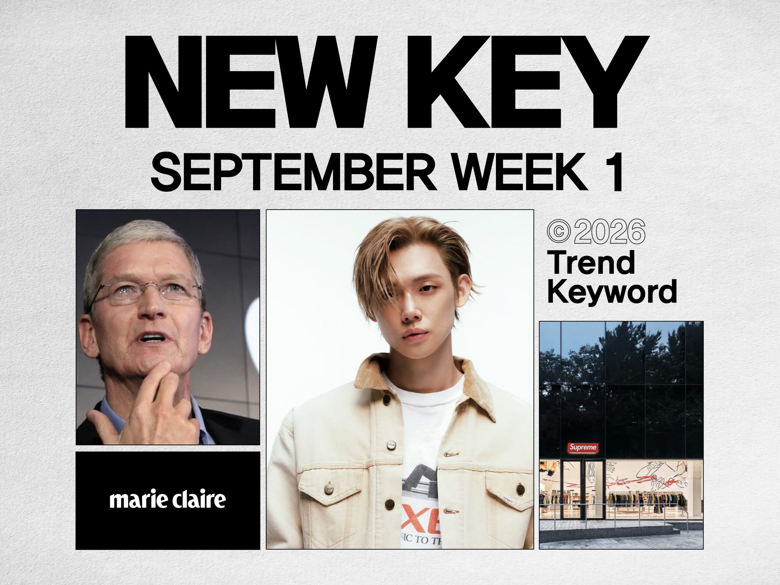 애플의 CEO, 팀 쿡이 은퇴했다, 9월 1주차 NEWKEY